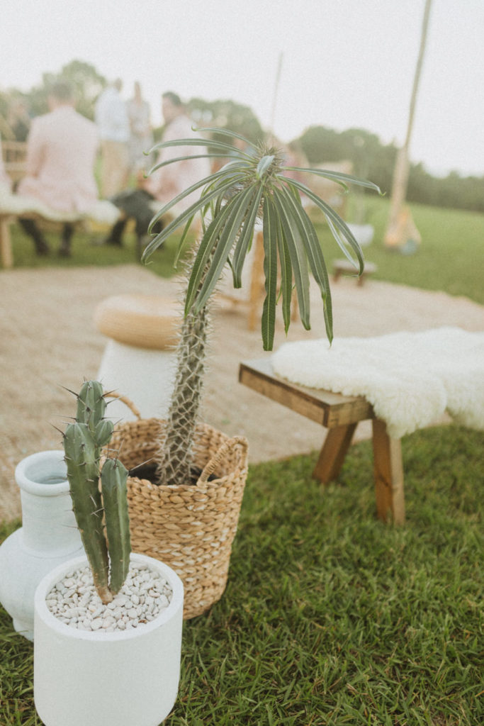 boho wedding with cactus and palm tree decor