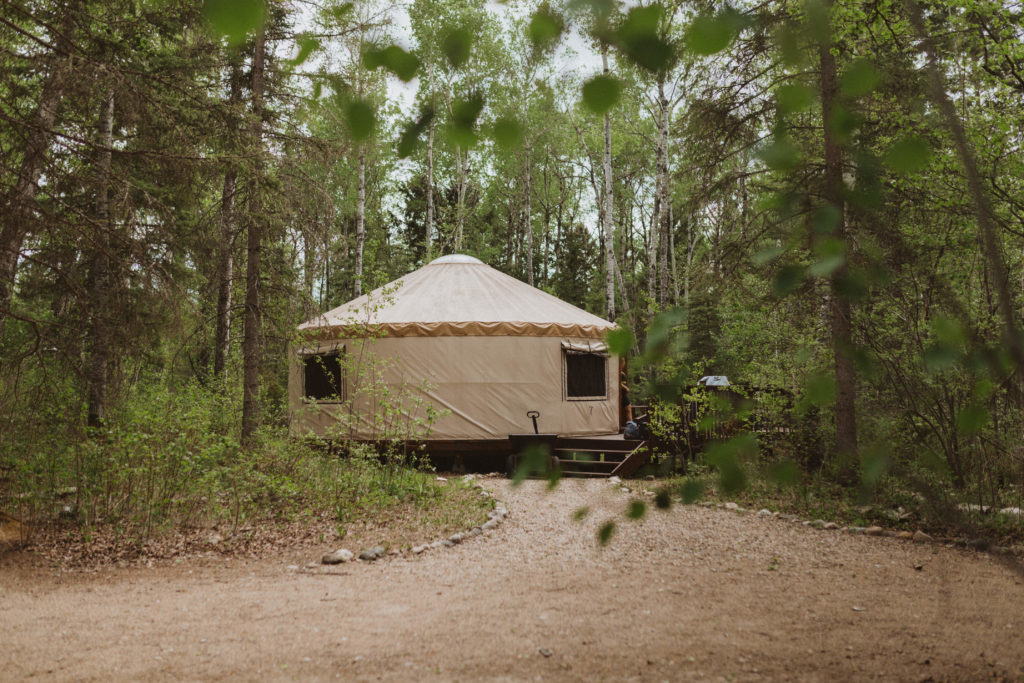 Yurt at Flora Bora Forest Lodging nestled in the woods. 