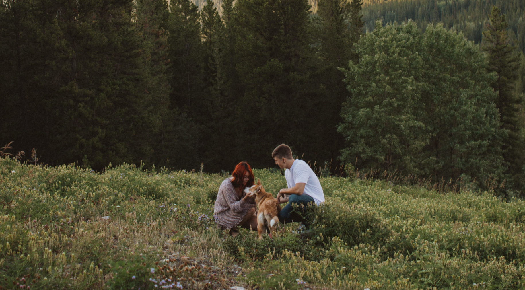 couple pictures with their dog in a field of wildflowers