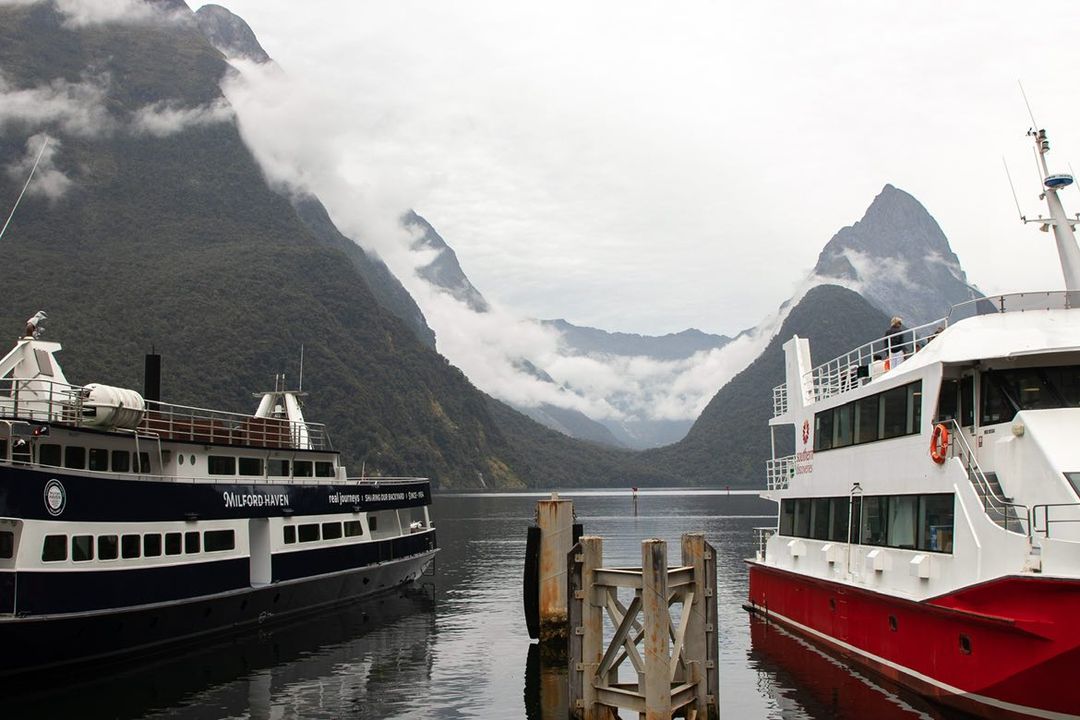take a boat tour at Milford Sounds for your elopement in New Zealand