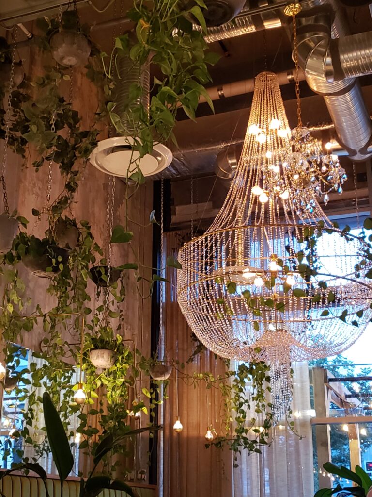orchard is a unique restaurant in the heart of downtown calgary with a mix of urban and plant vibes. would be a great venue for an intimate wedding in Calgary