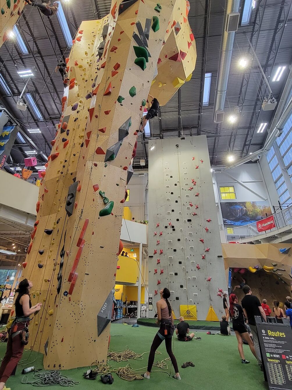 climb the high ropes at Calgary climbing centre rocky for a thrilling date with your partner